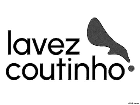 Lavez Coutinho arrives on the market with a focus on original and transparent tax action